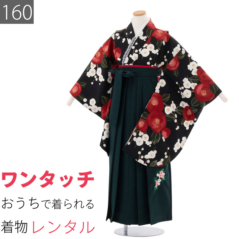 Rakuten - 【レンタル】ワンタッチ 小学校 卒業式 女の子 簡単 はかま 「160サイズ」 黒/袴 濃緑 椿 白梅 日本画 フルセット 女子 (t024ax)