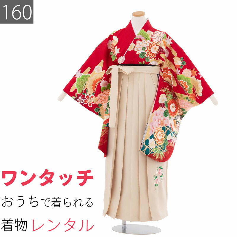 ワンタッチ式のため、お家で簡単に着付けができます。赤色地に大きく菊や四季花と金のエ霞文を絵羽柄で描きました。クラシックで格調あるデザインの着物です。クリーム色の袴セットです。はかまは桜柄の刺繍入りです。お客様の身長が、適応身長であることをお確かめください標準体型の方　[A体] ●草履利用の場合　適応身長　155～165cm●ブーツ利用の場合　適応身長　160～170cm※適応身長の上限の方はご体型によってははかま丈が短くなる場合がありますサイズについての詳細はこちらサイズ160身丈85cm裄64cmはかま丈95cm色赤 白種類女子はかま（小中学生） ／ 二尺袖（ショート丈）素材ポリエステルフォーマル度＊＊＊＊延長料金(1日延長につき)2500円／日海外利用割引について &gt;予約状況サイズ違いは下記からお選びください140サイズ 適応身長 135～145cm150サイズ 適応身長 145～155cm　1か月間ご利用の女子はかまレンタルプラン(卒業式本番の約1か月前にお届け、ご利用翌々日返却)です。卒業式直前の注文の場合は利用期間が短くなります。二尺袖着物（ショート丈、肩揚げあり）、はかま（あんどん型）、はかま用半幅帯、草履、着付け用品（半じゅばん、ステテコ、たびソックス、だて締め、えり芯、腰ひも）一式セットでお届けします。ブーツのレンタルは行っておりません。ブーツご希望の方はお手持ちの品をご利用ください。着物ははかま専用のショート丈です。着物は140、150、160サイズ共に裄・身幅は共通です。はかまは股が分かれていないスカート型（あんどん型）です。帯は似た色柄の帯に変更となる場合があります。　着物は洗えるプレタ着物を用いています。ご希望に応じて利用期間の延長可能です。お申し出なく返却が遅れた場合は既定の延滞料をご請求しますので予めご承知願います。