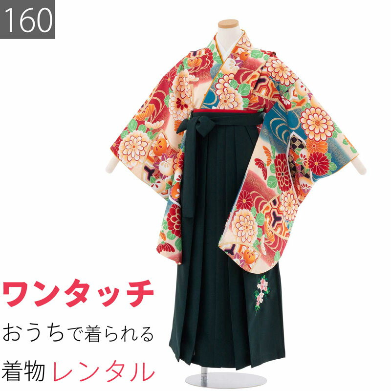 ワンタッチ式のため、お家で簡単に着付けができます。菊や橘、流水などの伝統文様を大胆にアレンジして染めました。濃緑色の袴セットです。はかまは桜柄の刺繍入りです。お客様の身長が、適応身長であることをお確かめください標準体型の方　[A体] ●草履利用の場合　適応身長　155〜165cm●ブーツ利用の場合　適応身長　160〜170cm※適応身長の上限の方はご体型によってははかま丈が短くなる場合がありますサイズについての詳細はこちらサイズ160身丈85cm裄64cmはかま丈95cm色赤 緑種類女子はかま（小中学生） ／ 二尺袖（ショート丈）素材ポリエステルフォーマル度＊＊＊＊延長料金(1日延長につき)2500円／日海外利用割引について >予約状況サイズ違いは下記からお選びください140サイズ 適応身長 135〜145cm150サイズ 適応身長 145〜155cm　1か月間ご利用の女子はかまレンタルプラン(卒業式本番の約1か月前にお届け、ご利用翌々日返却)です。卒業式直前の注文の場合は利用期間が短くなります。二尺袖着物（ショート丈、肩揚げあり）、はかま（あんどん型）、はかま用半幅帯、草履、着付け用品（半じゅばん、ステテコ、たびソックス、だて締め、えり芯、腰ひも）一式セットでお届けします。ブーツのレンタルは行っておりません。ブーツご希望の方はお手持ちの品をご利用ください。着物ははかま専用のショート丈です。着物は140、150、160サイズ共に裄・身幅は共通です。はかまは股が分かれていないスカート型（あんどん型）です。帯は似た色柄の帯に変更となる場合があります。　着物は洗えるプレタ着物を用いています。ご希望に応じて利用期間の延長可能です。お申し出なく返却が遅れた場合は既定の延滞料をご請求しますので予めご承知願います。