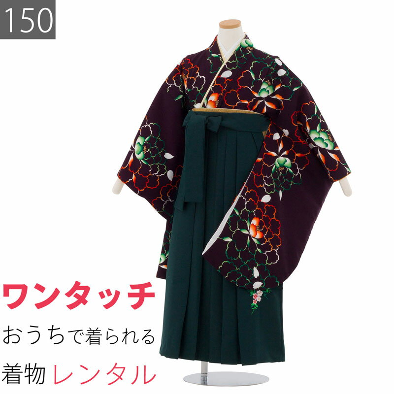 Rakuten - 【レンタル】ワンタッチ 小学校 卒業式 女の子 簡単 はかま「150サイズ」濃紫/袴 濃緑 牡丹シェイプ 赤・緑ネオン風 フルセット 女子 (t051as)