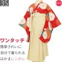 【レンタル】袴 レンタル 卒業式 ワンタッチ「XXSサイズ 3S」卒業袴 二尺袖 赤 大菊 亀甲菱/クリーム はかま 簡単 フルセット 大学 (d009a009)