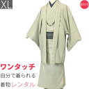 【レンタル】着物 レンタル 男「XLサイズ」薄抹茶色 アンサンブル 紬 (春秋冬用/男着物 メンズ 袷) 和服 (8172)