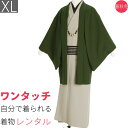 【レンタル】着物 レンタル 男 メンズ「XLサイズ」薄グレー・深緑 ちりめん (春秋冬用/袷) 父 七五三 撮影 和服 (8266)