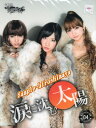AKB48 重力シンパシー第4弾クリアファイル~涙に沈む太陽~ホール限定品