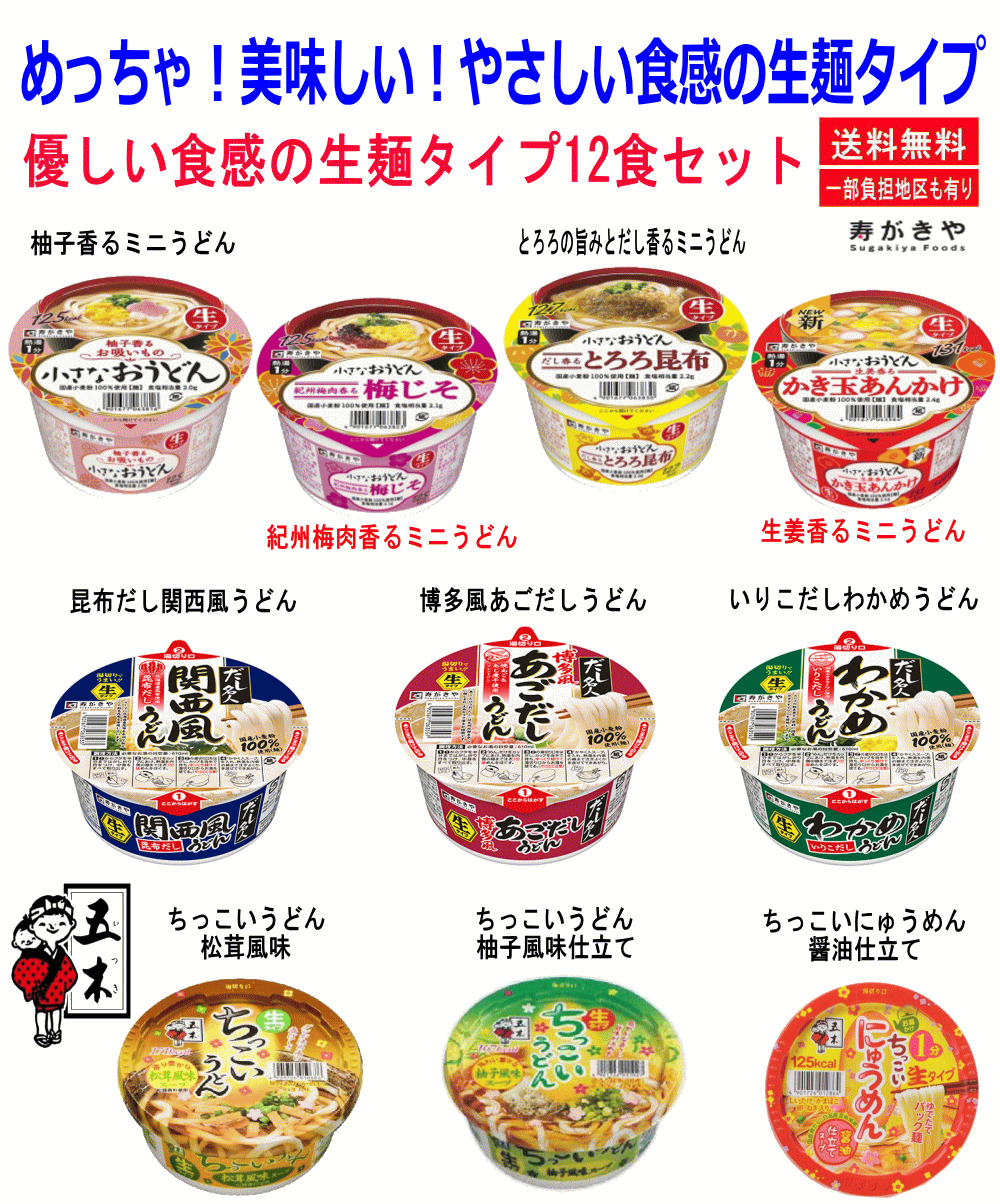 日清ウェルナ 川田製麺 讃岐うどん 400g×20袋入｜ 送料無料 うどん 麺類 乾麺 さぬき