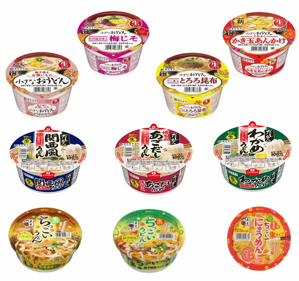 【生麵うどん決定版】 寿がきや 五木食品 あっさり やさしい味を楽しんで下さい うどん好きの貴方のセット 20食セット 関東圏送料無料