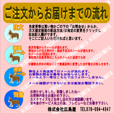 アンパンマン たのしいゆうえんち柄 ピンク スポーツオル 2015 送料無料