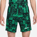 NIKE ナイキ サッカー DRI-FIT アカデミープロ ショートKZGX プラパン FN2414-324