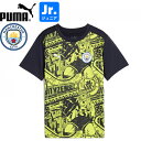PUMA プーマ MCFC マンチェスターシティ 2024-25 ジュニア プレマッチ半袖シャツ プラシャツ 777582-14 プーマジャパン国内正規ライセン...