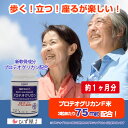 海軟骨の力プロテオグリカン90粒 約30日分 プロテオグリカンF75mg サプリ サプリメント PG 青森 あおもりPG 送料無料 コンビニ受取 あす楽 ひず屋 N.A.Gene ギフト 弘前大学 健康食品 GMP認定工場 2