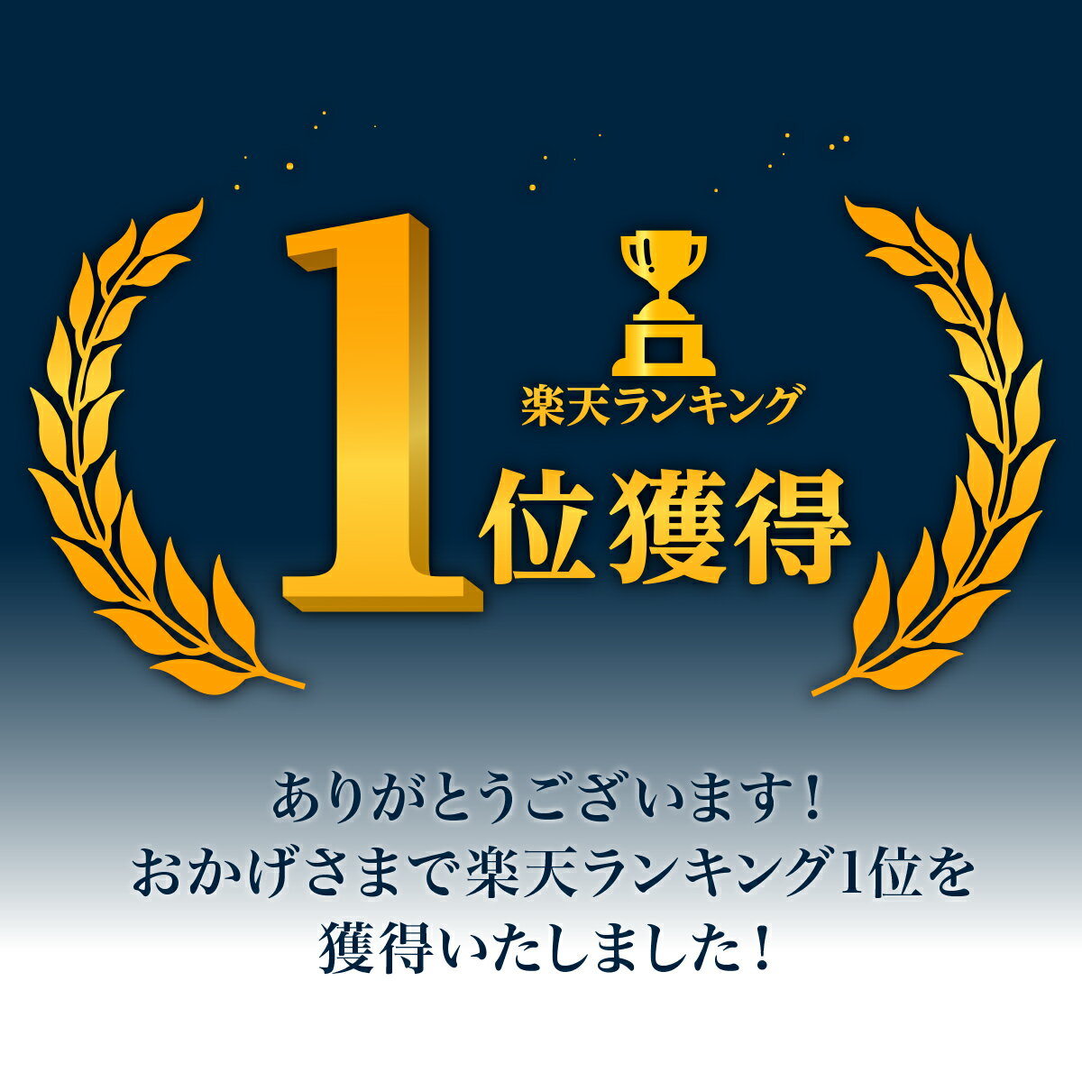 サッカー フットサル 作戦盤 折りたたみ タクティクスボード コーチングボード 作戦ボード マグネット ペンセット サッカー用品 練習 トレーニング ポジショニング ポジション B タクティクスボードセール サッカー 用品 セール