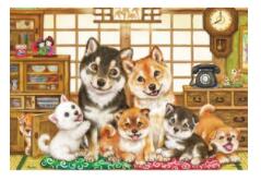 33-209 いっしょがいいね　332091 【ビバリー】【4977524332091】