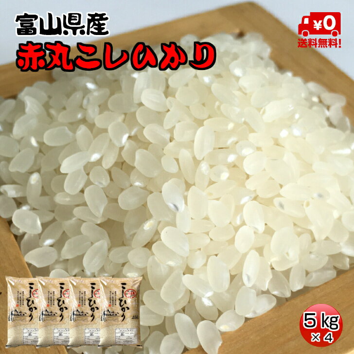 ★送料無料★赤丸産こしひかり　5kg×4【富山県産】【5年産】【お米】【コシヒカリ】【お米マイスター厳選】 1