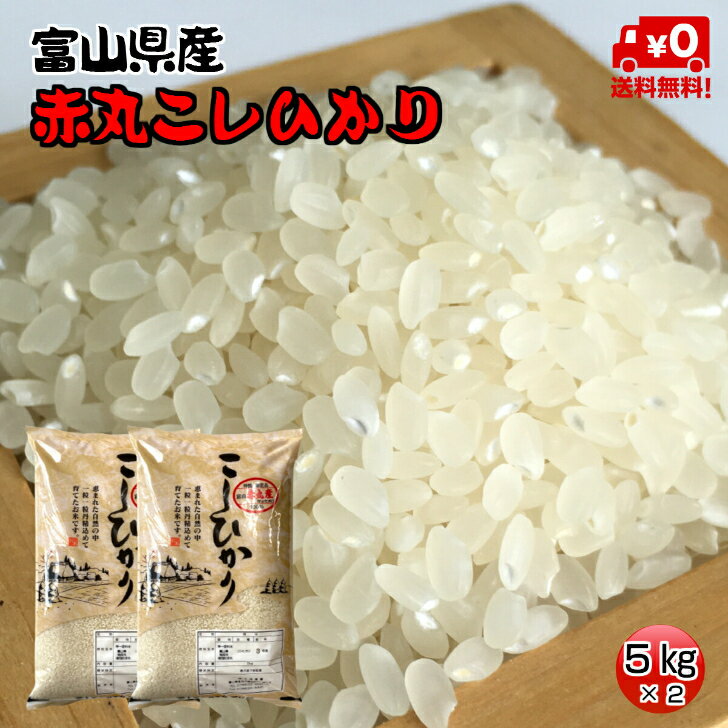 ★送料無料★赤丸産こしひかり　5kg×2【富山県産】【5年産