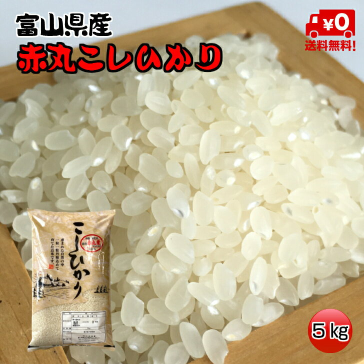 ★送料無料★赤丸産こしひかり　5kg【富山県産】【5年産】【