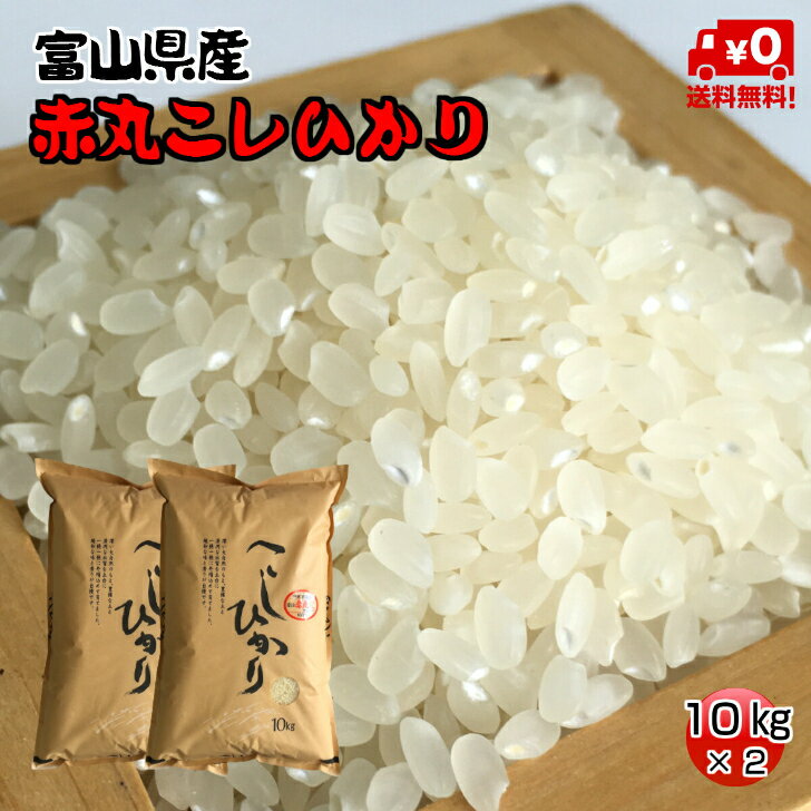 ★送料無料★赤丸産こしひかり　10kg×2【富山県産】【5年