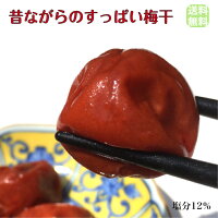 ★送料無料★《新梅》昔ながらのすっぱい梅干 氷見稲積梅　500g（ご自宅用）【無添加】【しそ梅】