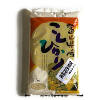 天神こしひかり5kg