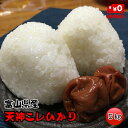 ★送料無料★天神こしひかり　5kg【富山県産】【1年産】【コシヒカリ】【お米】