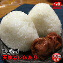 ★送料無料★天神こしひかり　10kg×2【富山県産】【5年産】【お米】【コシヒカリ】【あす楽】【ホタル】