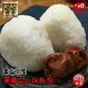 ★送料無料★天神こしひかり　5kg×2【富山県産】【5年産】【コシヒカリ】【お米】【お米マイスター厳選】