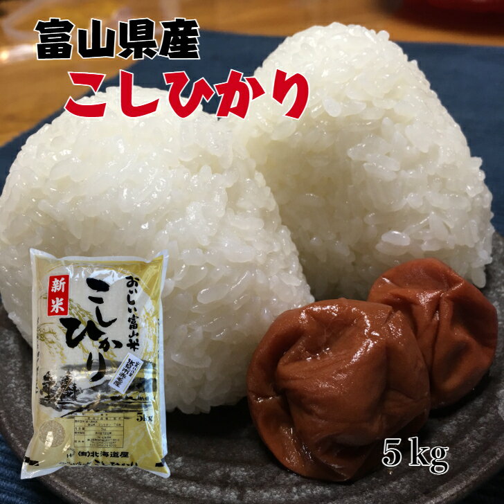富山県産こしひかり　5kg【富山県産】【7年産】【コシヒカリ】【お米】【数量限定】
