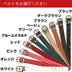 https://thumbnail.image.rakuten.co.jp/@0_mall/auc-hokota/cabinet/01508575/02580430/belt_2022.jpg