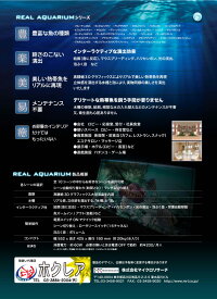 詳細2