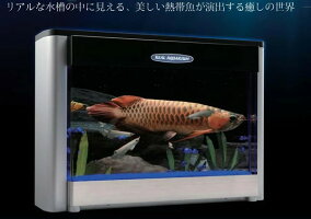 リアルアクエリアム