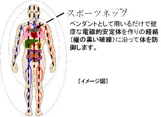 磁気ネックレス バイオコレクター・スポーツネッ...の紹介画像3