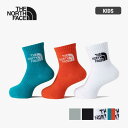 【最大P21倍1日はワンダフルデー!!】ザ・ノース・フェイス THE NORTH FACE 靴下 キッズ 3足セット TNF ジャカード ロゴ 3P クルー ソ...