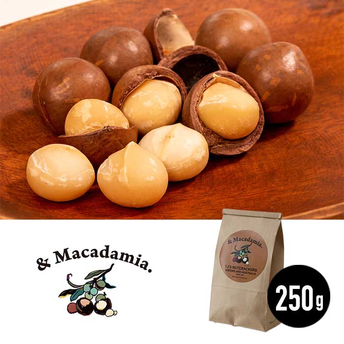 【レビュー特典あり】マカダミアナッツ 殻付き 250g おすすめ [ & MAKADAMIA (アンドマカダミア) ] マカダミアンナッツ [201007] 1