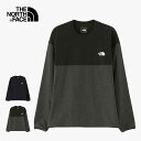 ノースフェイス トレーニングシャツTHE NORTH FACE [ NP72382 ] APEX FLEX CR エイペックスフレックスクルー ピステ メンズ [230812]