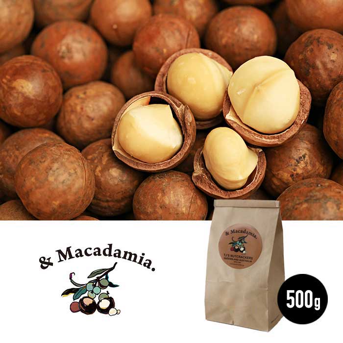 【レビュー特典あり】マカダミアナッツ 500g 殻付き [ & MAKADAMIA (アンドマカダミア) ] [201007]