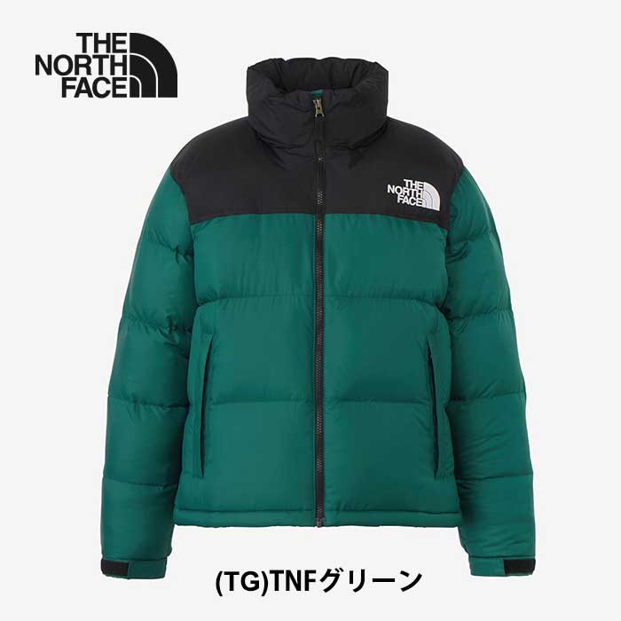 tnf23271-2.jpg tnf23271-2.jpg