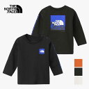 【最大P19倍30日は5と0のつく日!!】ザ・ノース・フェイス 長袖Tシャツ THE NORTH FACE NTB32537 B L/S SV GRAPH T ...