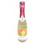 MIZUBASHO Artist Series フローラルスパークリング 2022 片岡鶴太郎 360ml (群馬県産地酒・川場村)【永井酒造】(発泡清酒) クーポン 1,320円