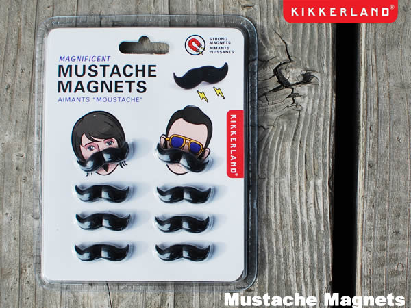 Mustache Magnets X^[V}Olbg LbJ[h DETAIL CeA KIKKERLAND