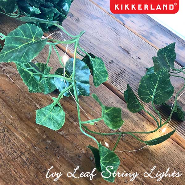 Ivy Leaf String Lights アイビーリーフストリングライト10フィート USB イルミネーション キッカーランド KIKKERLAND