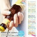 【エントリーでポイント5倍】ジェル風 ネイルシール ハワイアン 小さめ 簡単 貼るだけ 海 ビーチ 波 花 貝 おうちネイル 日本製 am-nail-003 夏...
