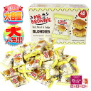 【嬉しい個包装♪】MR.BROWNIE BLONDIES ミスターブラウニー ブロンディーズ 40個入り ベルギー産チョコレート使用 スイーツ お菓子 おやつ ...