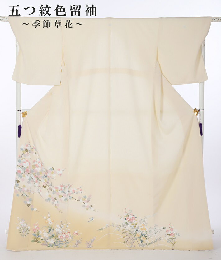 楽天市場】色留袖 トールサイズ レンタルの通販