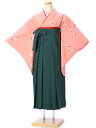 【レンタル】 卒業式 袴 レンタル セット(AG116)大人 女 レディース 袴セット 着物レンタル ハカマ はかま rental ピンク 緑袴 無地袴 2尺袖...