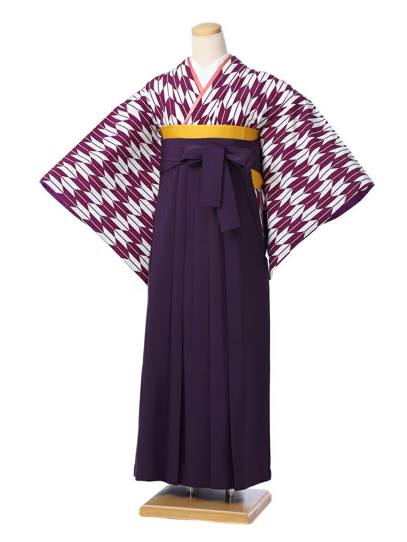 【レンタル】先生袴 卒業式 袴 レンタル セット(DK162)大人 女 袴セット 卒園式 着物レンタル ハカマ はかま rental 矢絣 矢羽根 矢羽 紫 紫袴 保育士 教師 教諭 担任 着物 フルセット 対応身長163～168cm 足袋プレゼント 往復送料無料