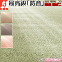 カーペット ラグ 国産 1畳 88×176cm 江戸間 防音 防炎 遮音 LL30 防ダニ 消臭 抗アレルゲン 丸巻き 光触媒 クリーン ホットカーペットカバー 耐摩耗性 床暖対応 遊び毛ほぼ無し 埃が出にくい 喉 呼吸器系に優しい 健康 長方形 アイコン 一畳 / ウェルネスbt /