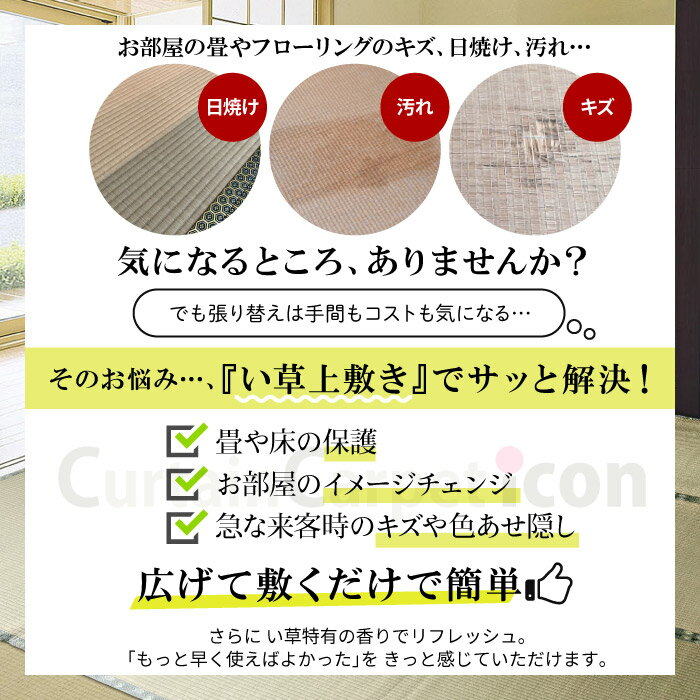 い草 カーペット ござ 国産 ミニ 4.5畳 ...の紹介画像3