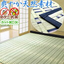 い草 カーペット ラグ 4.5畳 261×261cm ござ ゴザ 藺草 オーダー カット加工 い草カーペット クール 防ダニ 防カビ 抗菌 正方形 四畳半 アイコン 【九州/北海道/沖縄追加送料有】 / 海星 /(3)