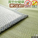 い草 カーペット ござ 角 1畳 120×120cm 上敷き ラグマット 無地ござ ゴザ オーダー クール 防ダニ 防かび 抗菌 自然素材 涼感 正方形 涼しい cool 暑さ対策 新生活 衣替え 角 一畳 アイコン 【九州/北海道/沖縄追加送料有】 / 大江戸 /