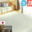 ラグ 洗える 4.5畳 286×286cm 本間 京間 国産 ビニール風 ござ ゴザ 防炎 爽やか 集会所 集会場 公民館 微クッション性 カーペット ホットカーペット対応 床暖対応 四畳半 アイコン 【九州/北海道/沖縄追加送料有】 / い草風PPござ地紋 /