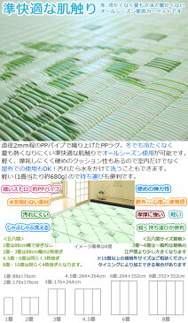 カーペット ラグ い草風PPござ竜胆 1畳 五八間 88×176 防炎 準快適 洗える（洗濯機不可） 集会所 集会場 公民館 微クッション性 日本製 国産 ホットカーペット対応 床暖対応 本州/四国：送料無料 アイコン 1畳